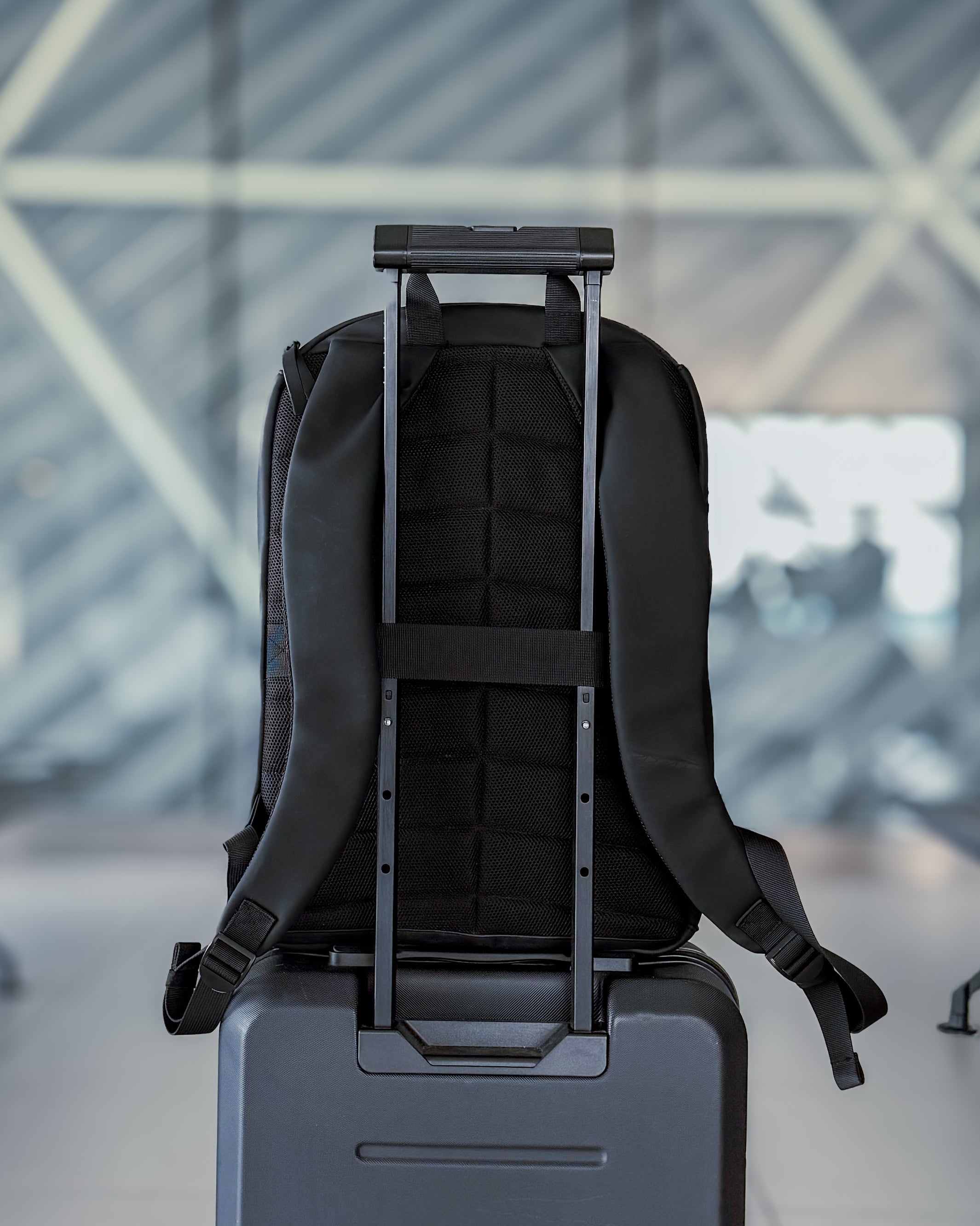 Luggage Sleeve